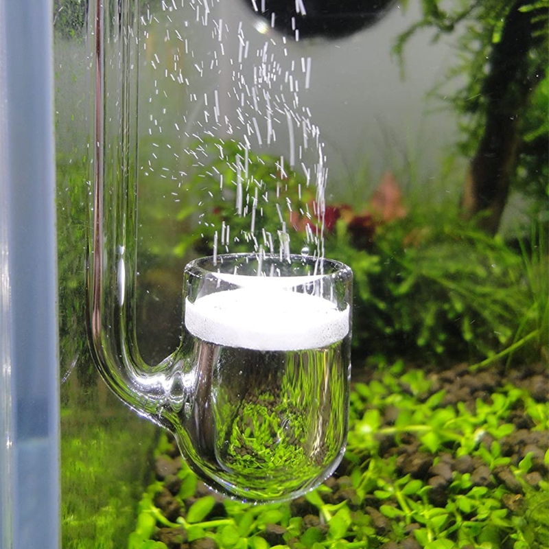 Co2 Diffuser Planted - D0AD Glazen CO2-diffusor voor aquarium, beplant
