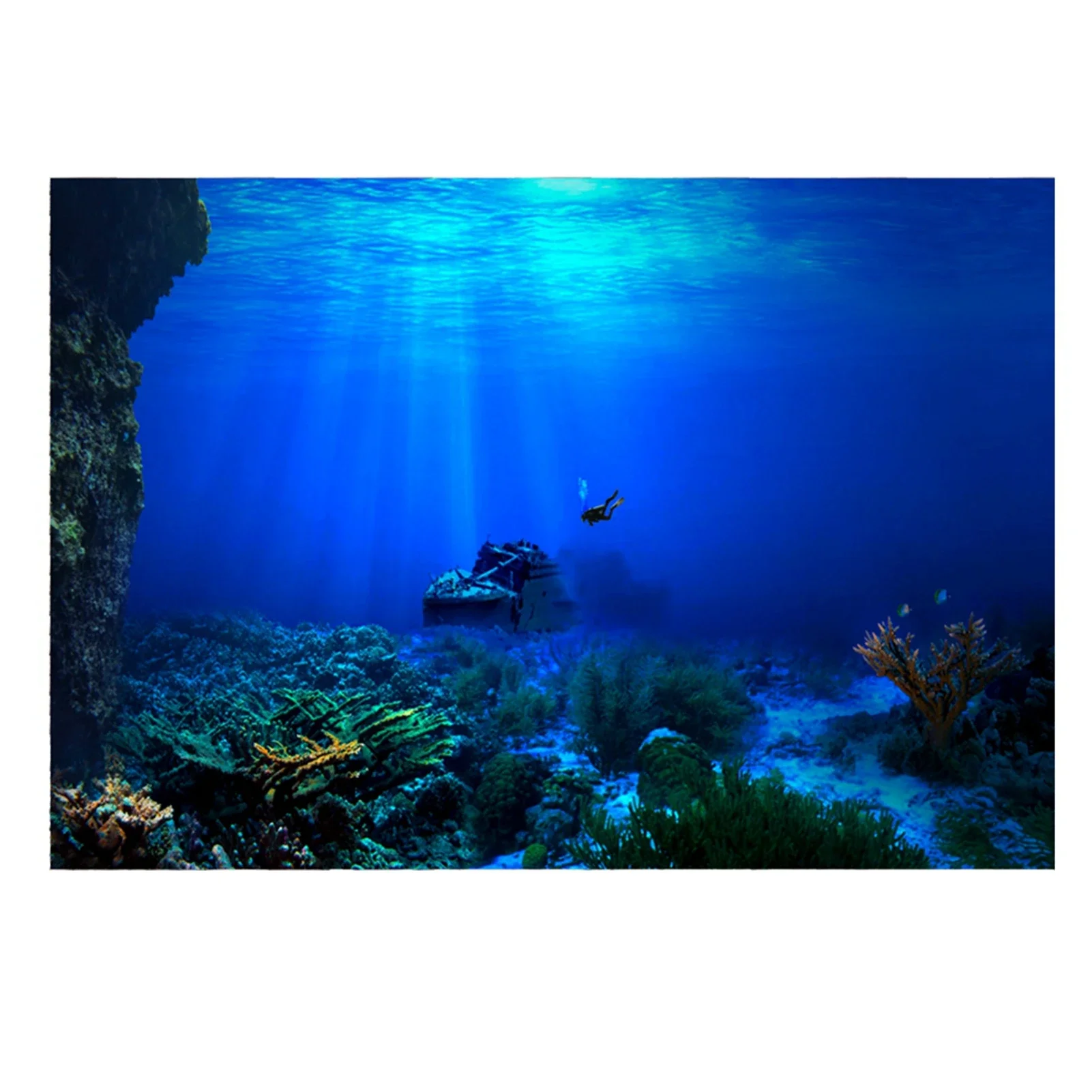Fish In Aquarium Picture - Regenwoud Aquarium Achtergrond Poster Fish Tank