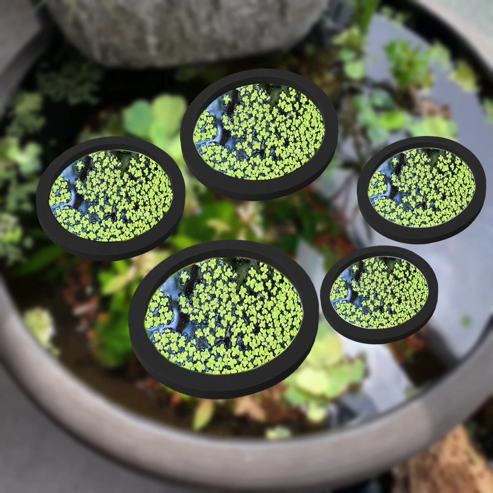Aquarium Fish In Pond - 5 stks EVA Vis Voeden Ring