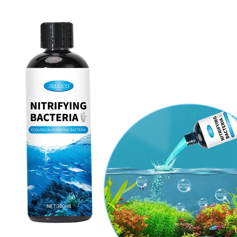 Aquarium Fish And Supplies - Nitrificerende bacteriën Vloeibaar aquarium Waterzuiveraar Aquariumvissen