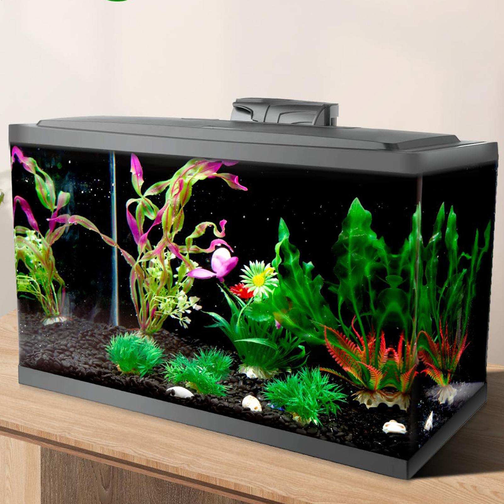Fish In Aquarium Picture - Zwarte aquarium achtergrondafbeelding, aquarium behang, achtergrondposter,