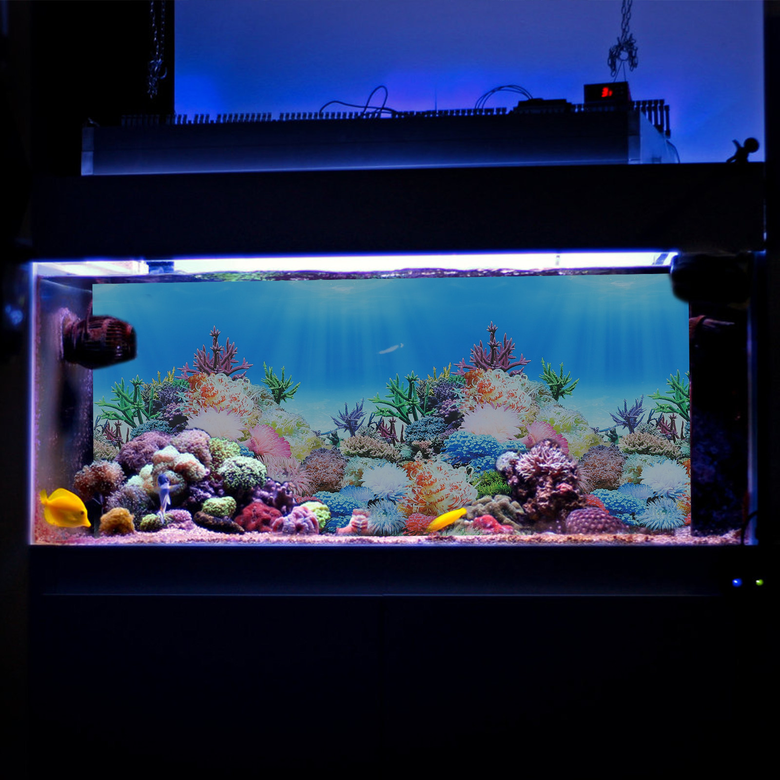 Fish In Aquarium Picture - Visbak Aquarium Decoratie Achtergronden Papier DIY