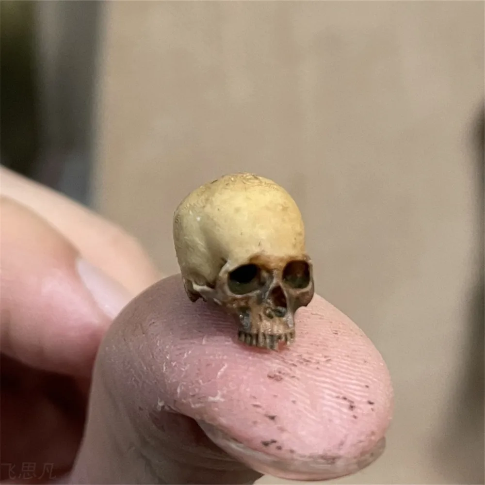 Aquarium Fish To Buy - Mini Skull Hoge kwaliteit miniatuurmodel voor