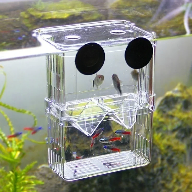 Aquarium Fish Jar - Multifunctioneel visaquarium, helder viskweek- en isolatiebox,