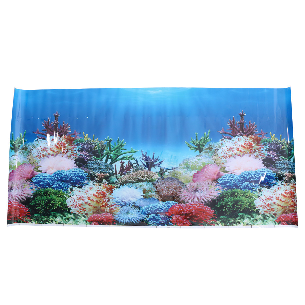 3D Wallpaper Aquarium Foto Ach - Fish In Aquarium Picture recensie en prijs