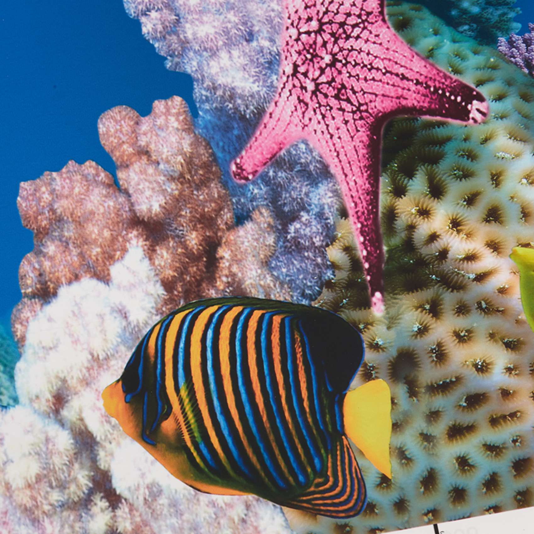 ABWR-Aquarium Achtergrondpapie - Fish In Aquarium Picture recensie en prijs