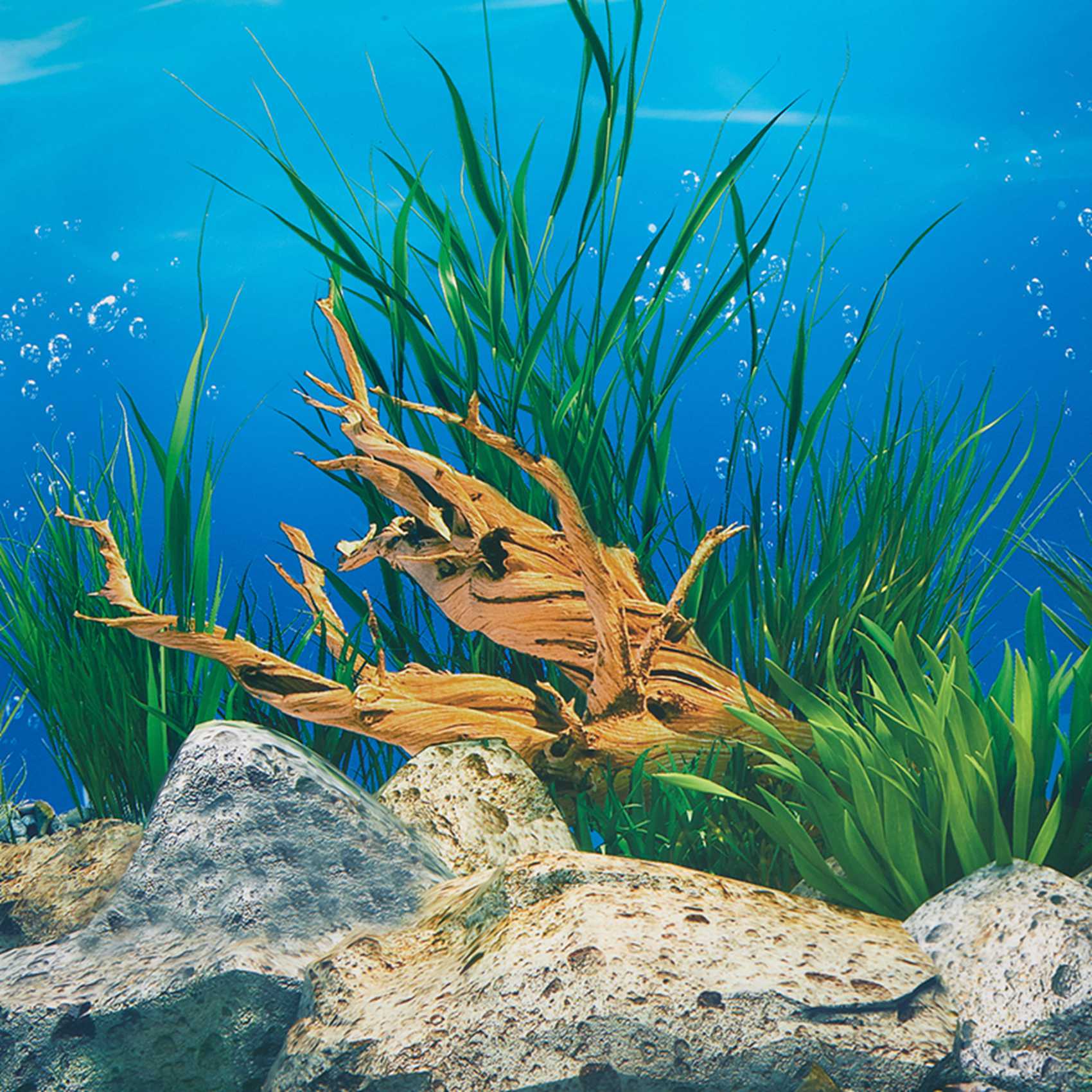 ABWR-Aquarium Achtergrondpapie - Fish In Aquarium Picture recensie en prijs