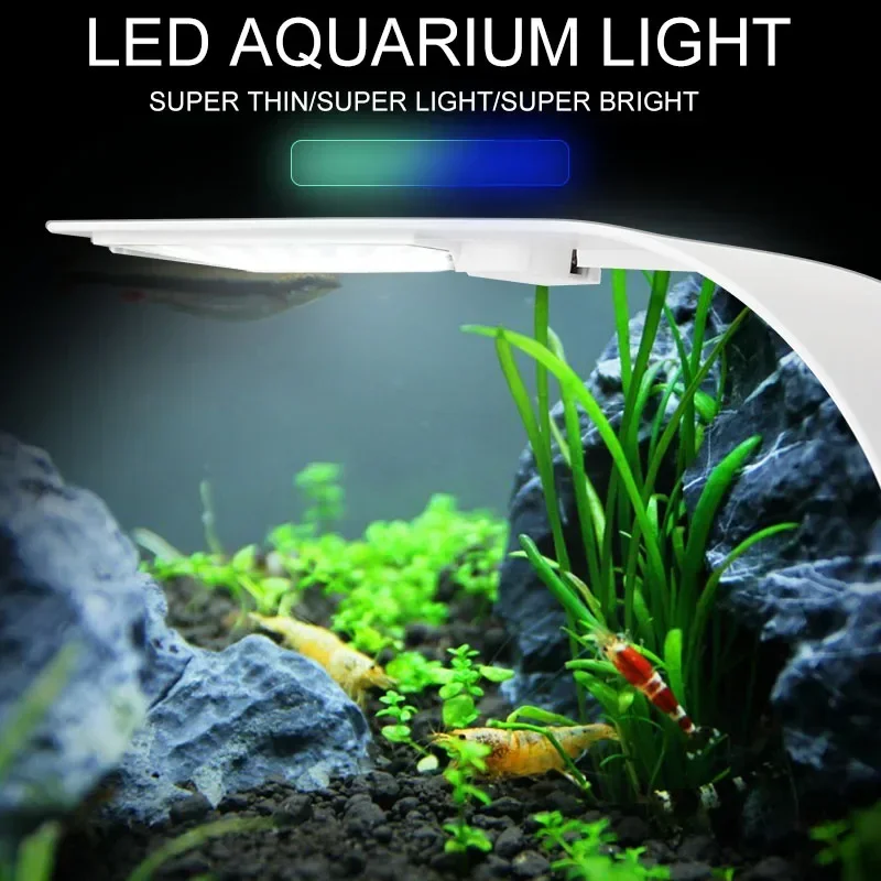 Ultra Dunne LED Aquarium Licht - Fish In Aquarium Picture recensie en prijs