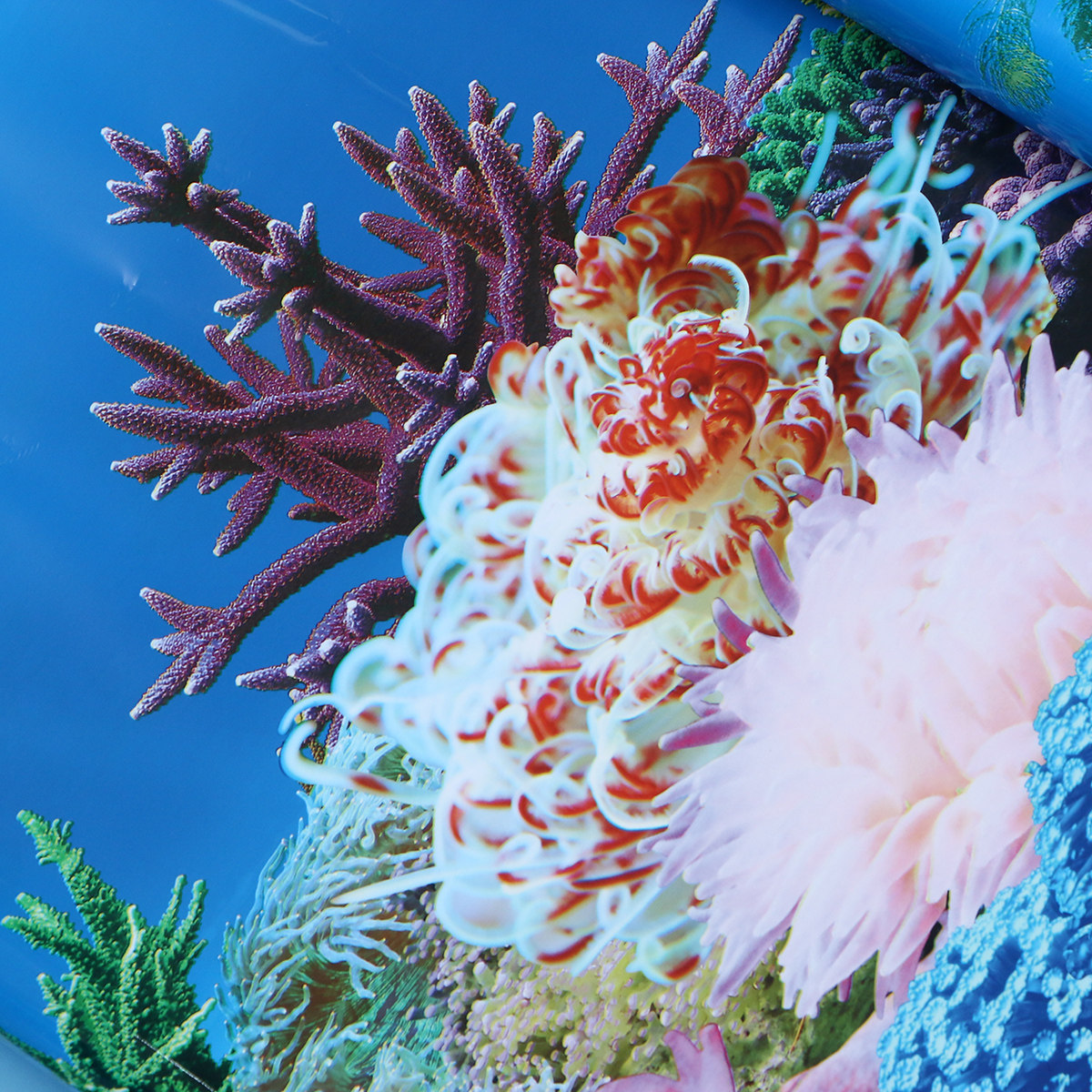 3D-behangachtergronden voor aq - Fish In Aquarium Picture recensie en prijs