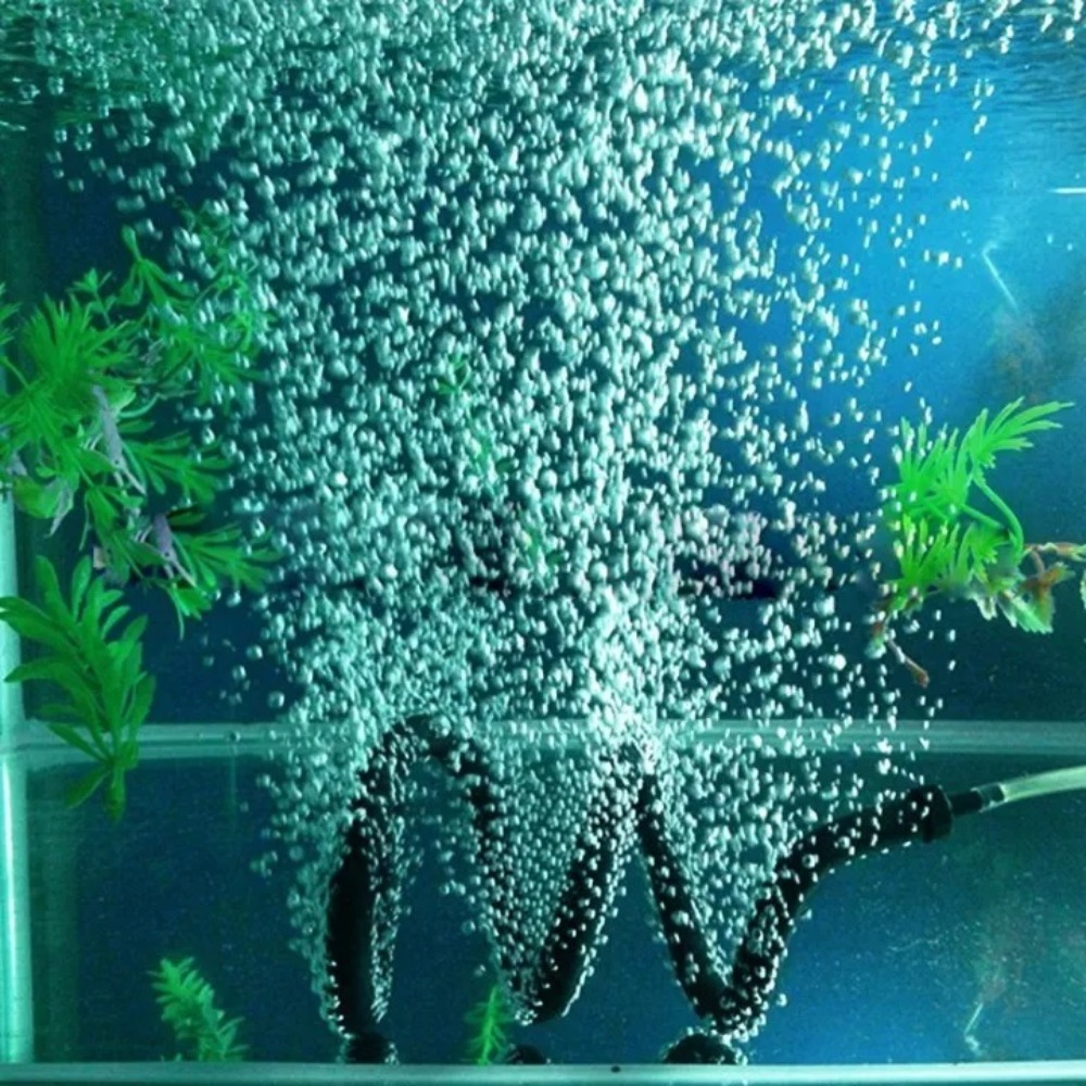 Visbakbelletjesbalk Rubberen l - Aquarium Fish Youtube recensie en prijs