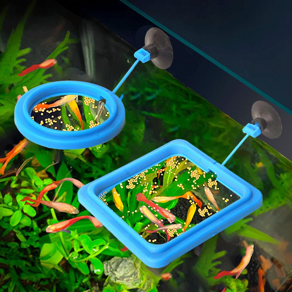 Visvoeder ring, visvoeder, vis - Tetra Food Tropical Flakes recensie en prijs