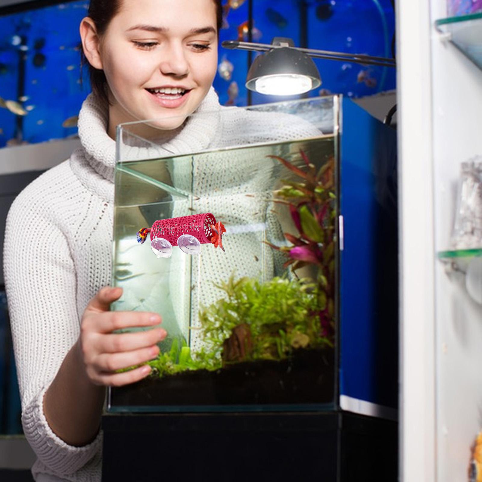 Betta Habitat Rustplaats Ornam - Aquarium Fish Youtube recensie en prijs