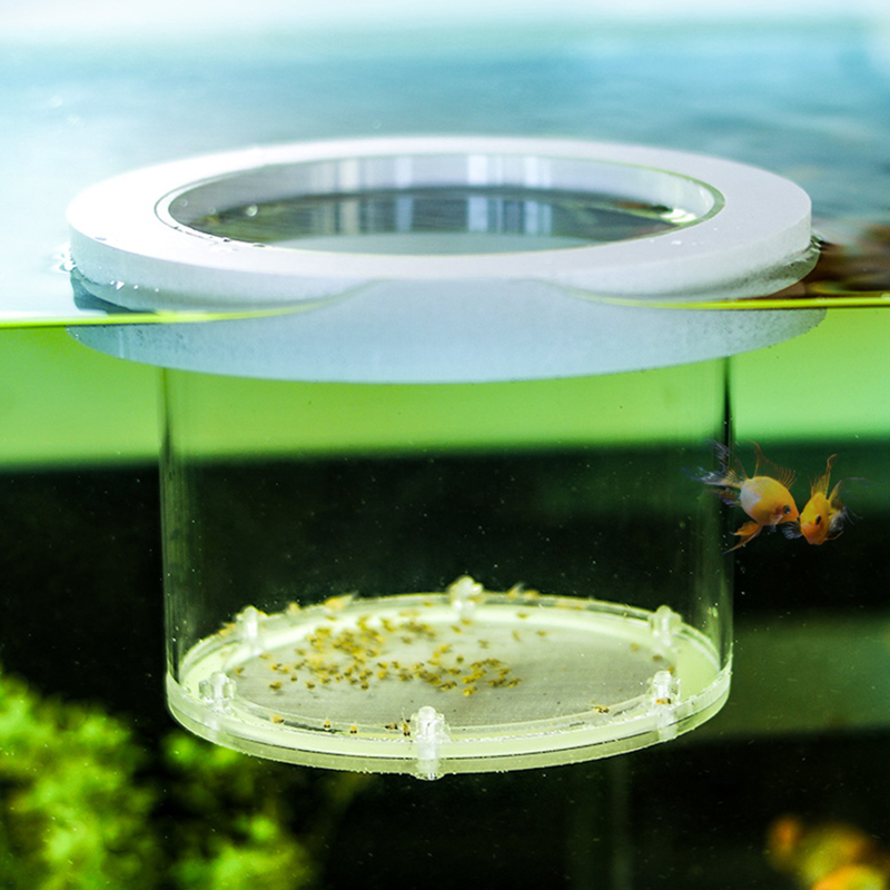 Opgeschort Aquarium Fokken Iso - Aquarium Fish Jar recensie en prijs
