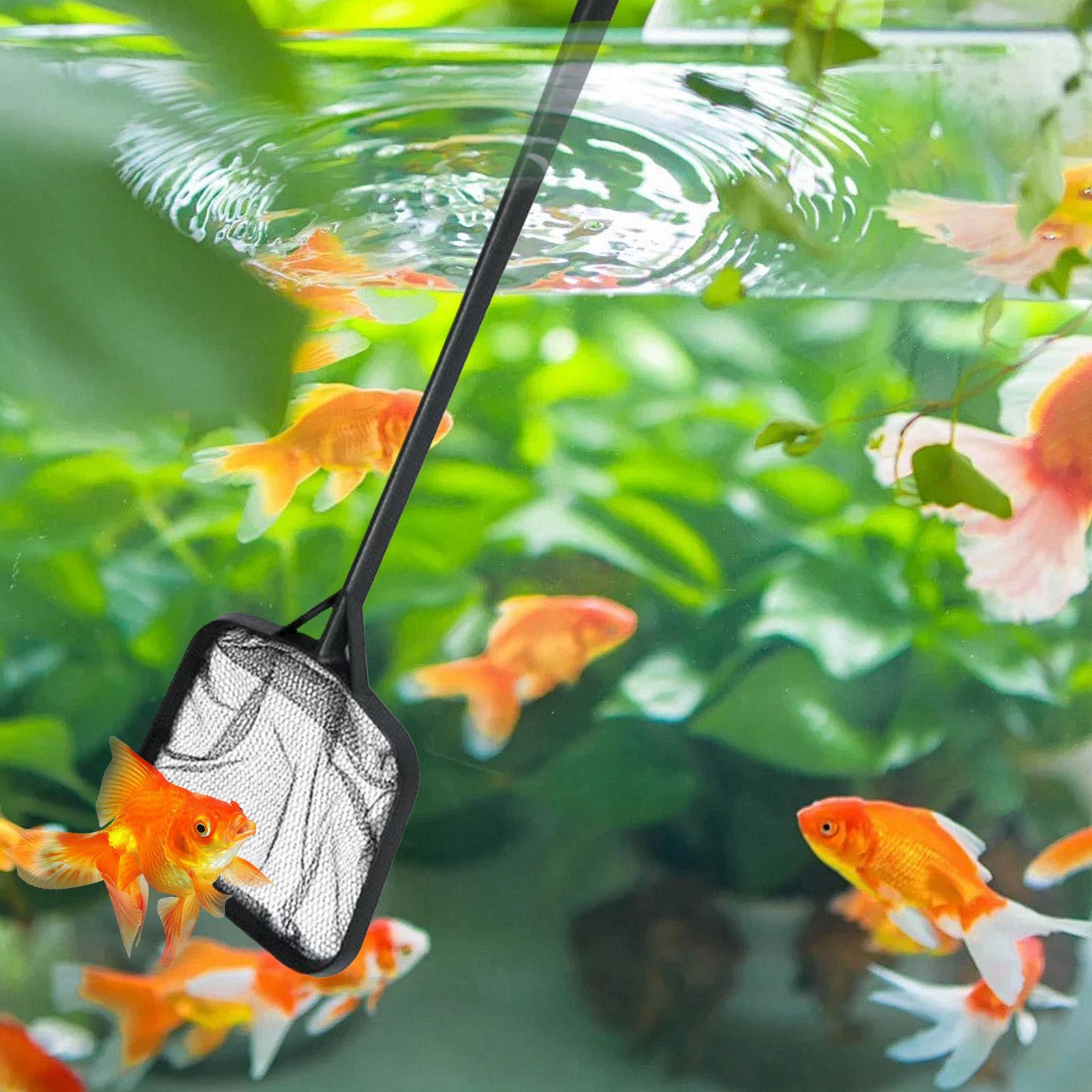 Zwembadnetten voor het reinige - Aquarium Fish To Buy recensie en prijs