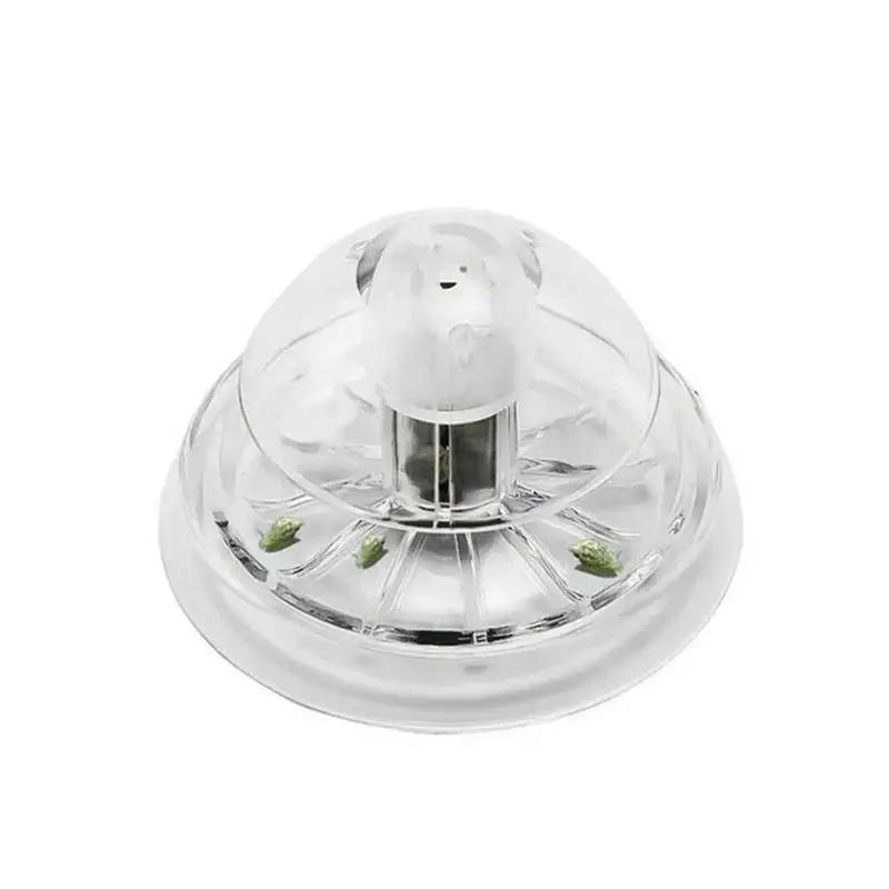 2026 Nieuwe 6/8CM Transparante - Aquarium Fish To Buy recensie en prijs