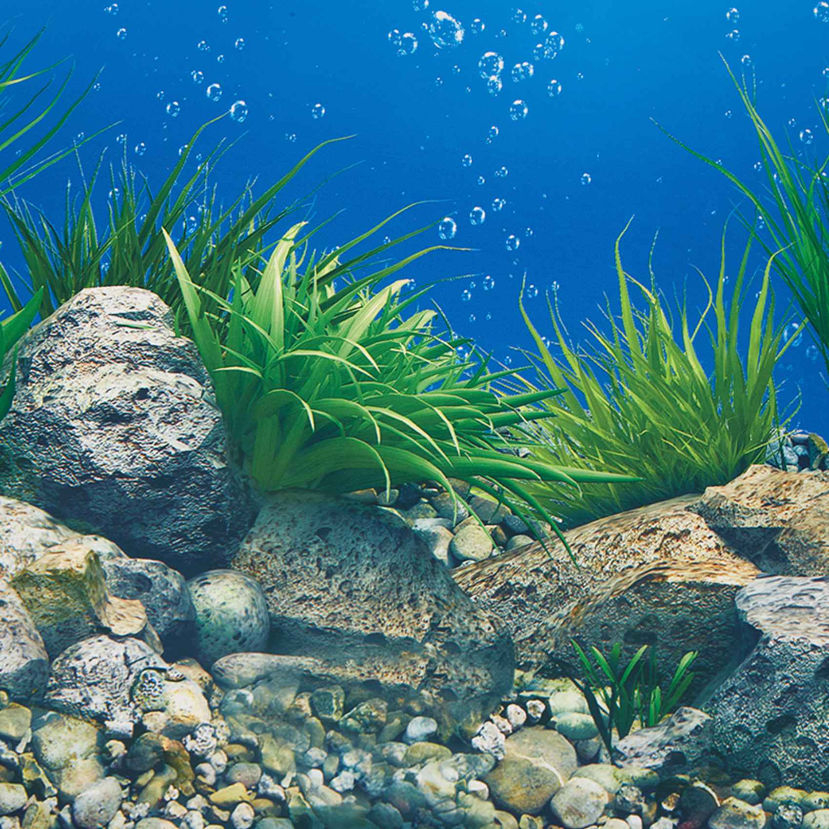 A77I Aquarium Achtergrond Papi - Fish In Aquarium Picture recensie en prijs