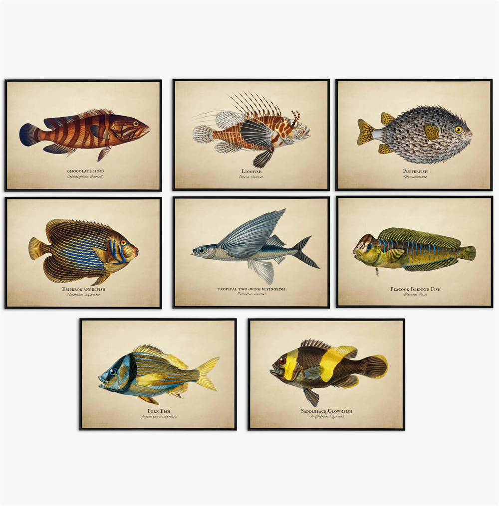 Vintage foto's tropische visse - Fish In Aquarium Picture recensie en prijs