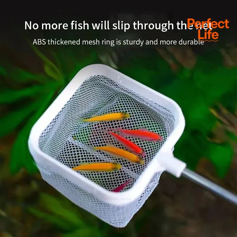 1, 2 stuks roestvrijstalen vis - Aquarium Fishland recensie en prijs