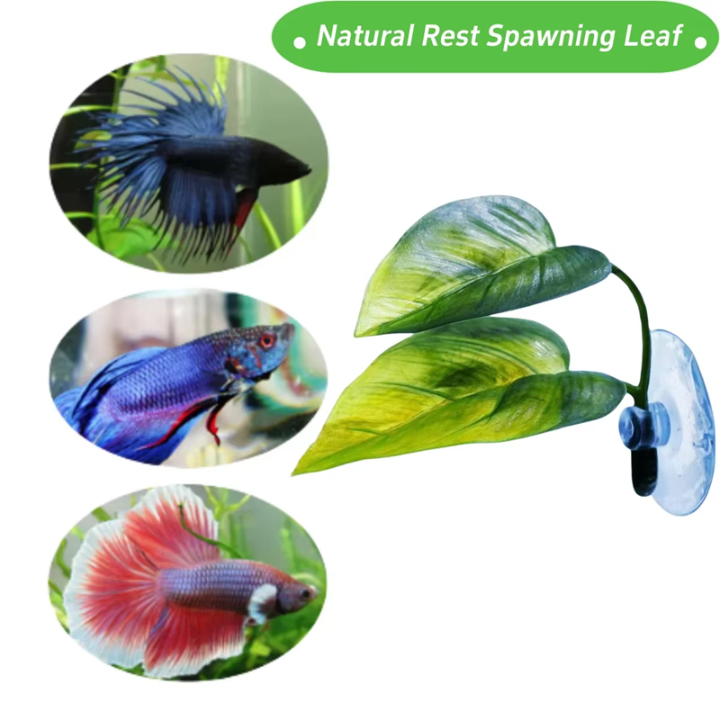 Aquariumbenodigdheden Decorati - Aquarium Fish And Supplies recensie en prijs