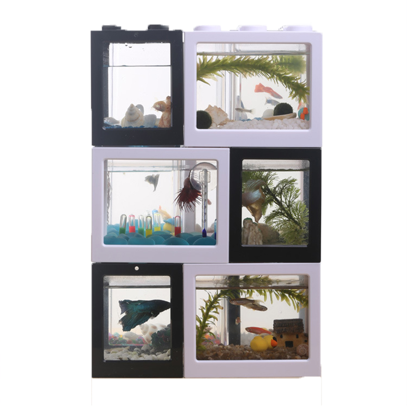 7-kleurige mini-aquarium betta - Aquarium Fish Jar recensie en prijs