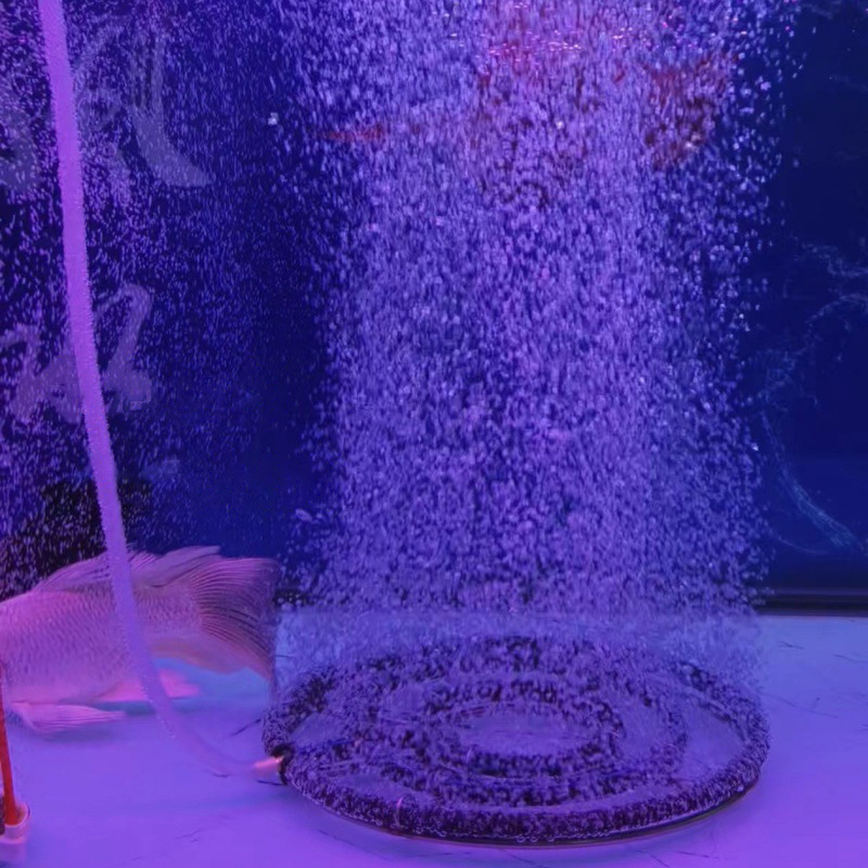 304 RVS Nano Zuurstof Beluchti - Aquarium Fish Koi recensie en prijs