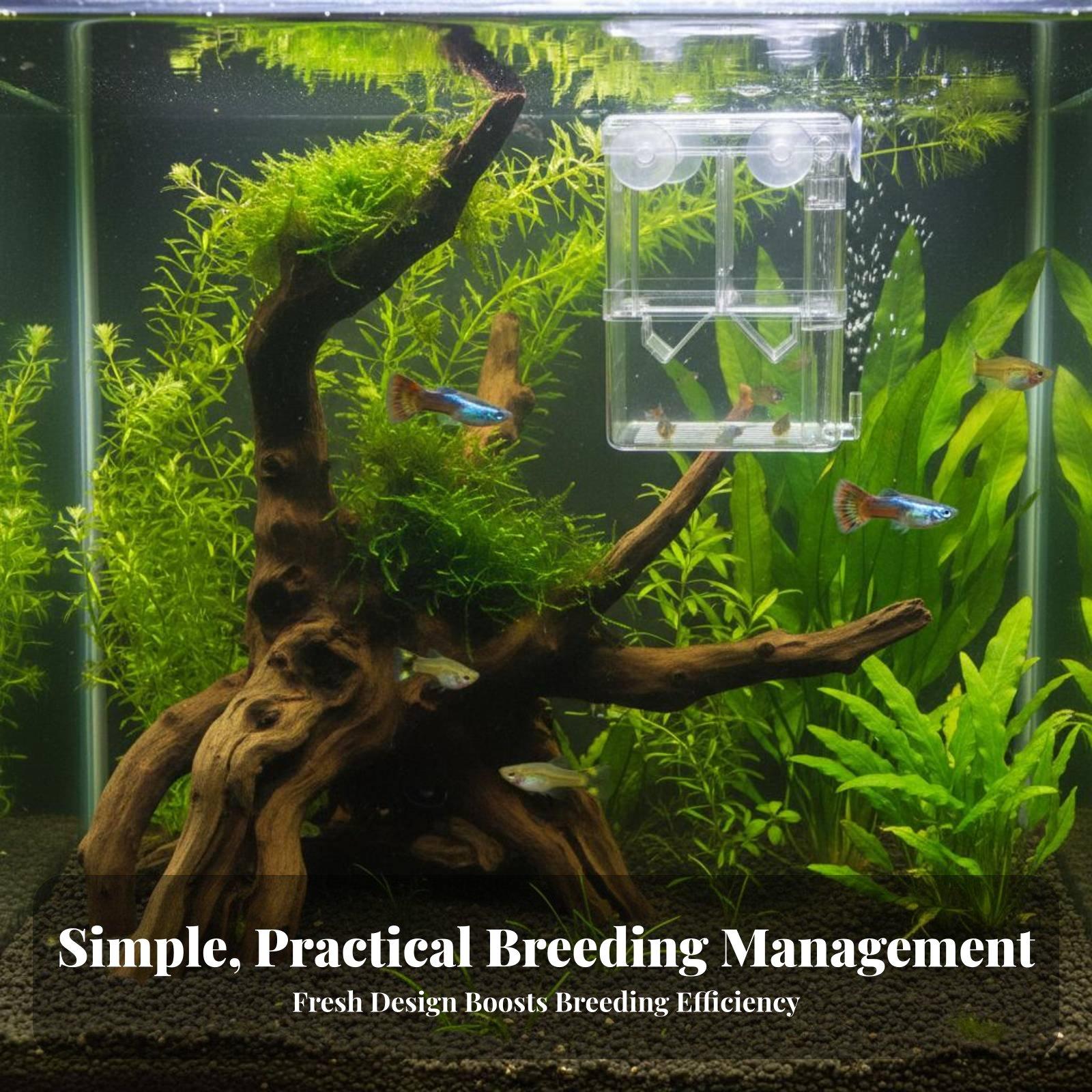 Dubbellaagse aquariumkweektank - Aquarium Fishes recensie en prijs