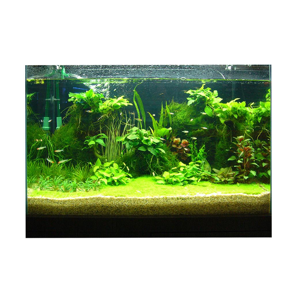 Aquarium 3D achtergrondsticker - Fish In Aquarium Picture recensie en prijs
