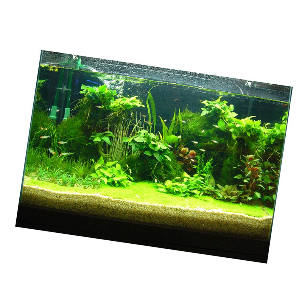 Aquarium 3D achtergrondsticker - Fish In Aquarium Picture recensie en prijs