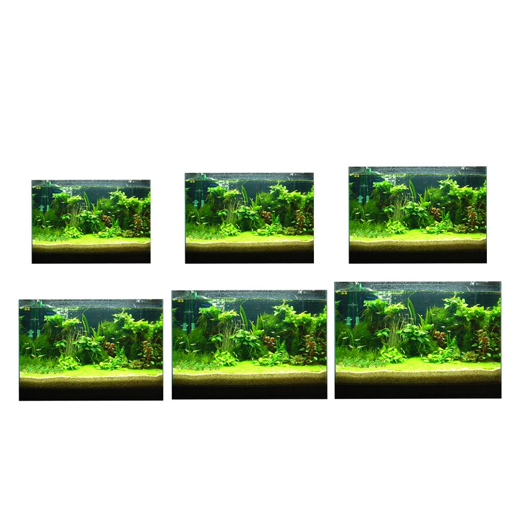 Aquarium 3D achtergrondsticker - Fish In Aquarium Picture recensie en prijs