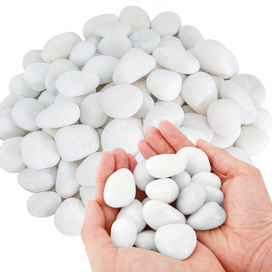 200/400g Witte Hooggepolijste  - Aquarium Fish To Buy recensie en prijs