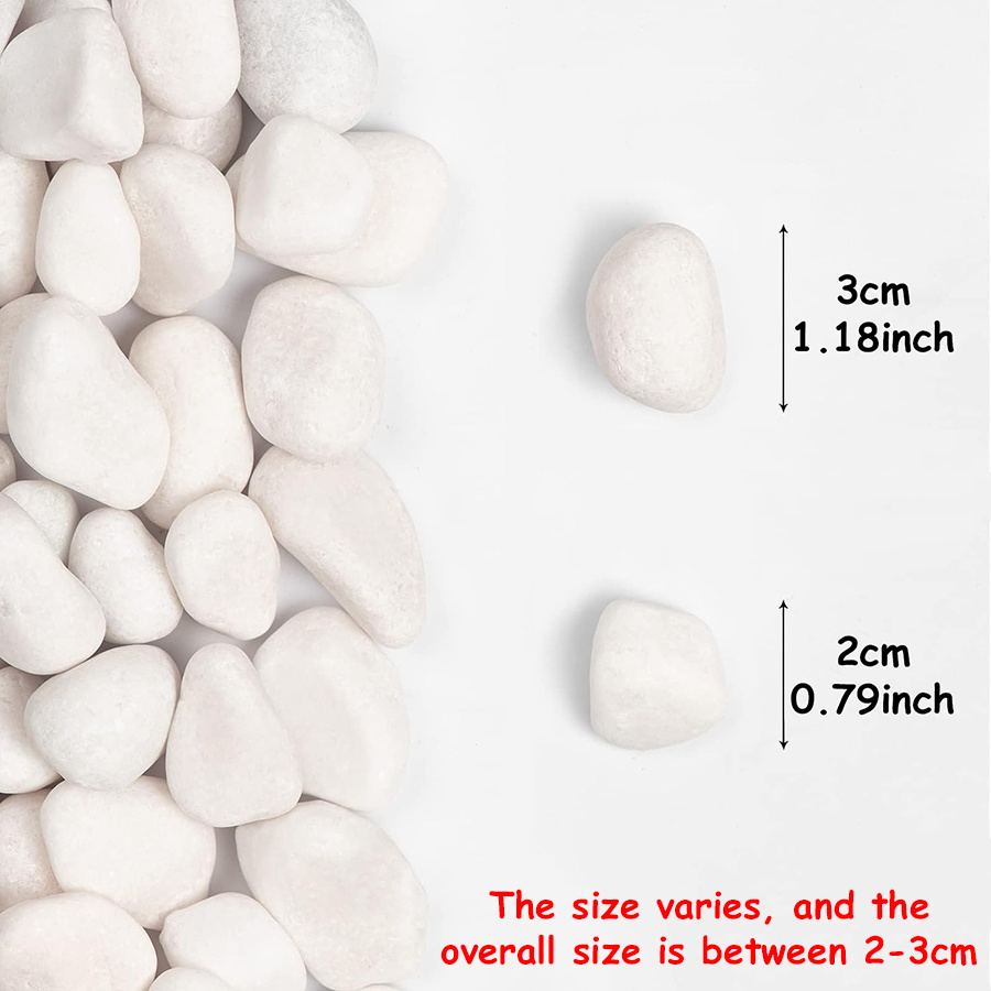 200/400g Witte Hooggepolijste  - Aquarium Fish To Buy recensie en prijs