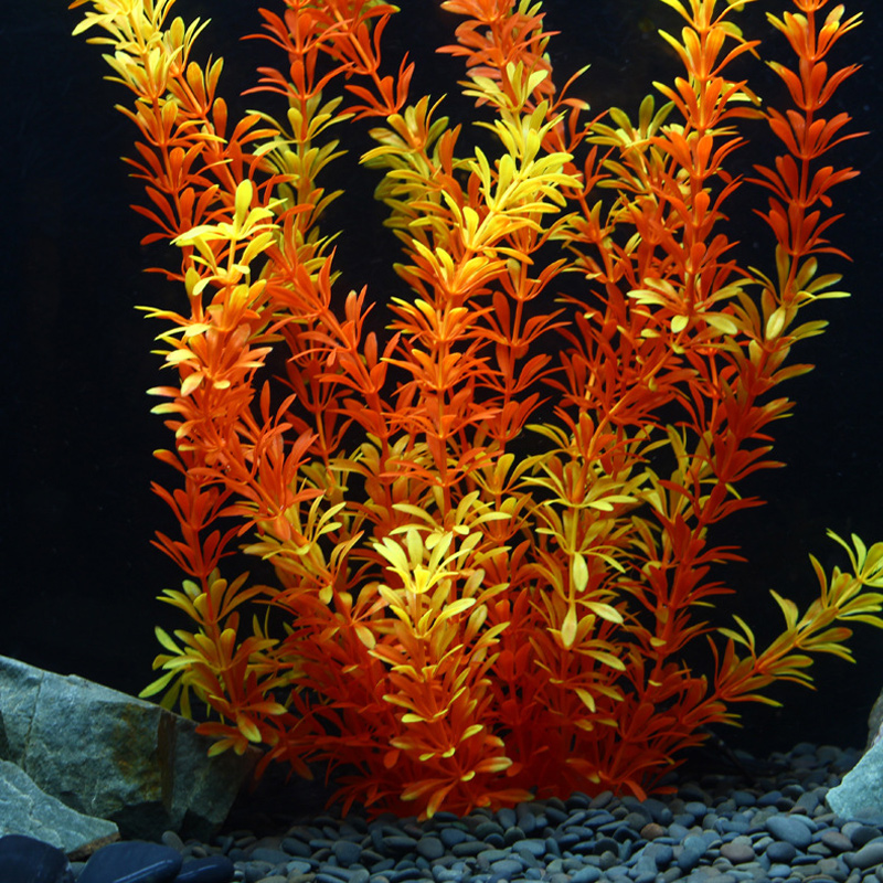 100cm Tropische Planten Grote  - Aquarium Fish To Buy recensie en prijs