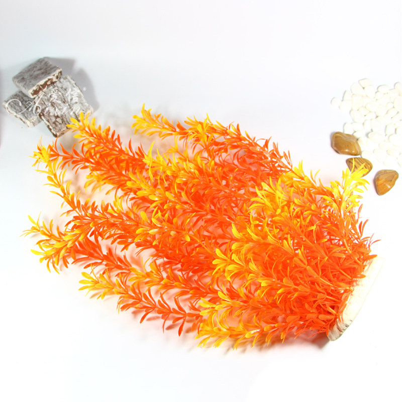 100cm Tropische Planten Grote  - Aquarium Fish To Buy recensie en prijs