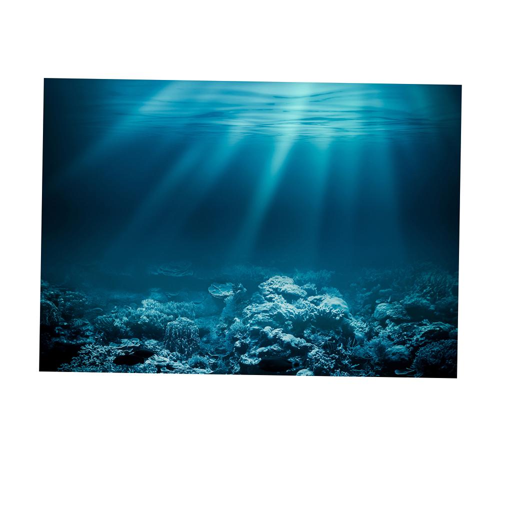 Visaquarium Plaksticker PVC 3D - Fish In Aquarium Picture recensie en prijs