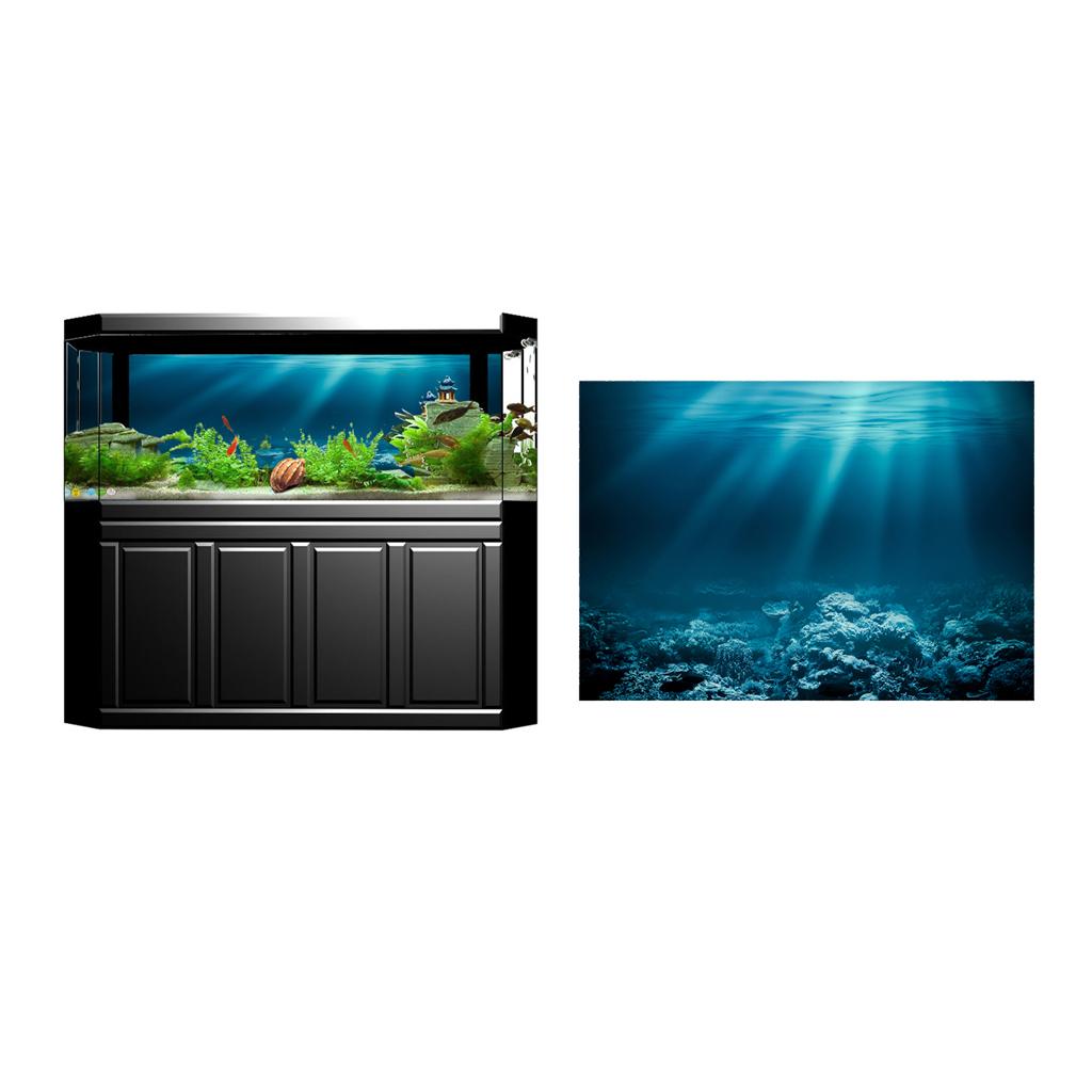 Visaquarium Plaksticker PVC 3D - Fish In Aquarium Picture recensie en prijs