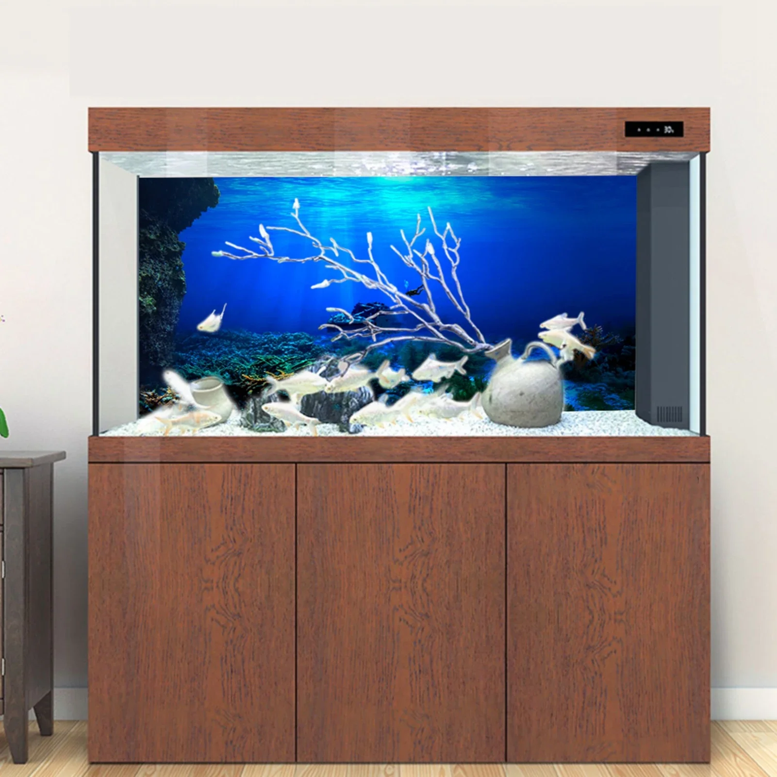 Regenwoud Aquarium Achtergrond - Fish In Aquarium Picture recensie en prijs