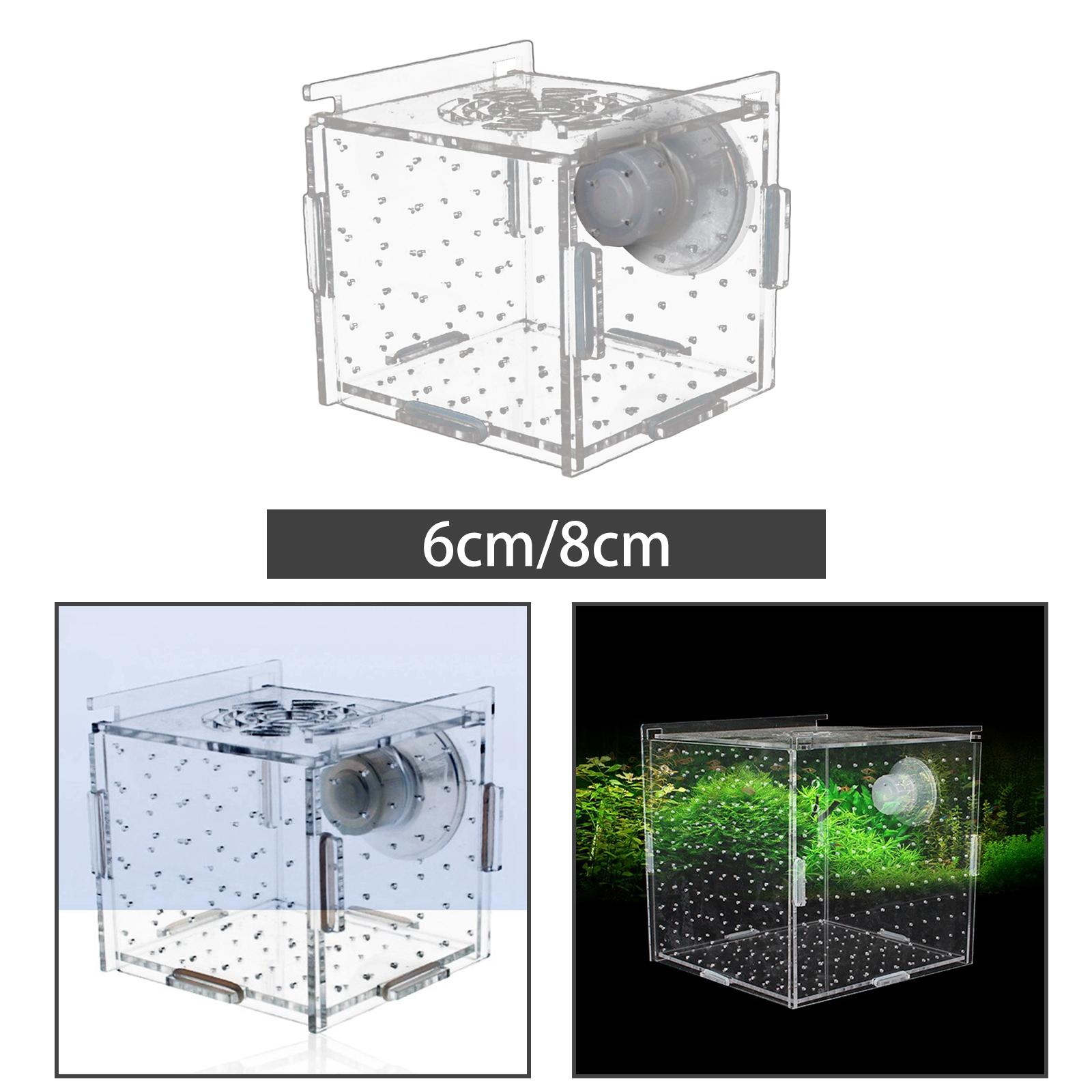 Vis Fokker Box Helder Duurzaam - Aquarium Fish Jar recensie en prijs