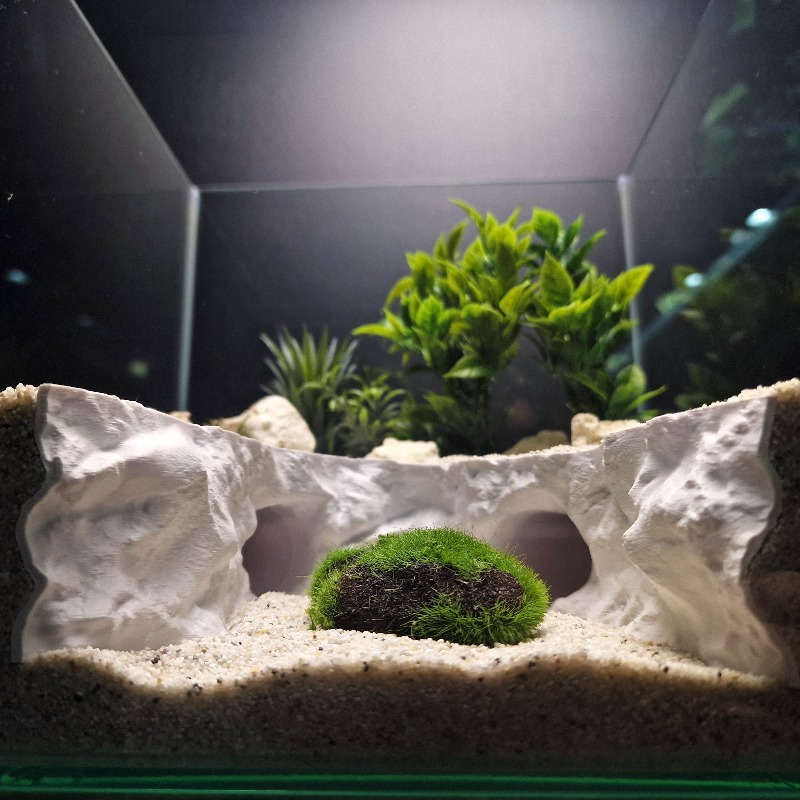 2-in-1 Water & Land Schuilplaa - Aquarium Fishland recensie en prijs