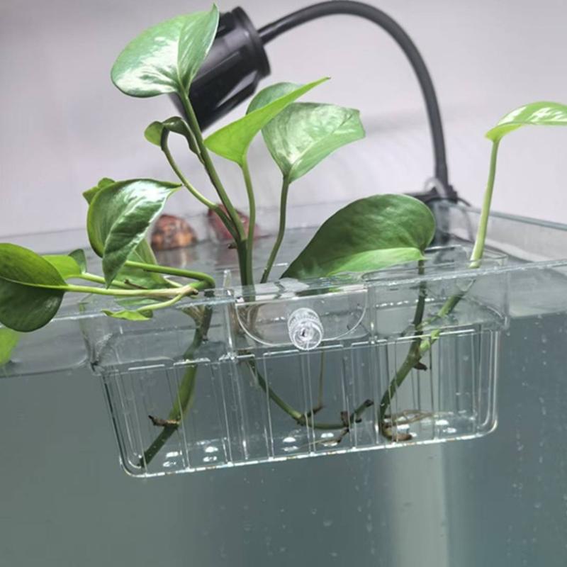 Hydroponische plantenmand, voe - Aquarium Fishes recensie en prijs