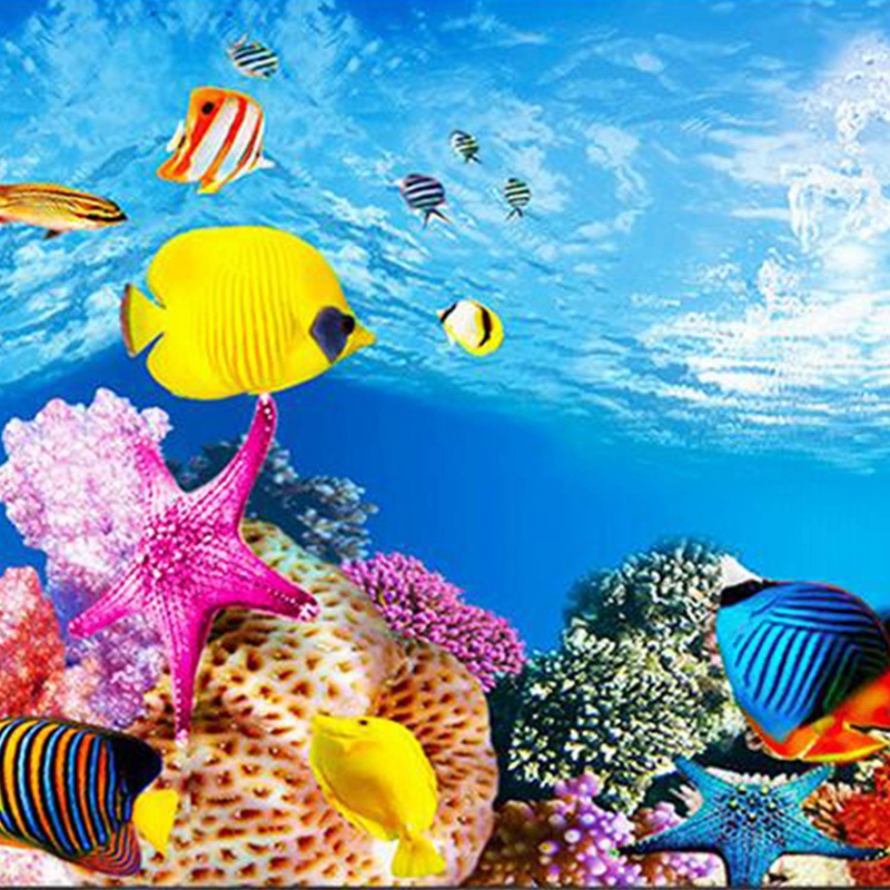 BAAU Aquarium Achtergrond Papi - Fish In Aquarium Picture recensie en prijs