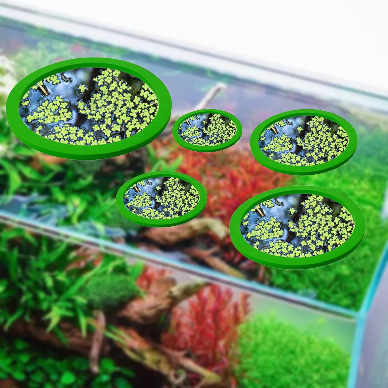 5 stks EVA Vis Voeden Ring Aqu - Aquarium Fish In Pond recensie en prijs