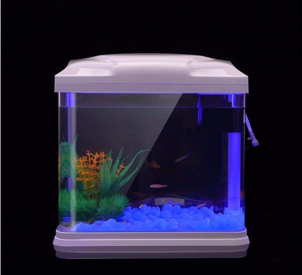 Aquarium Rotsen Glow Blue Kiez - Aquarium Fish To Buy recensie en prijs