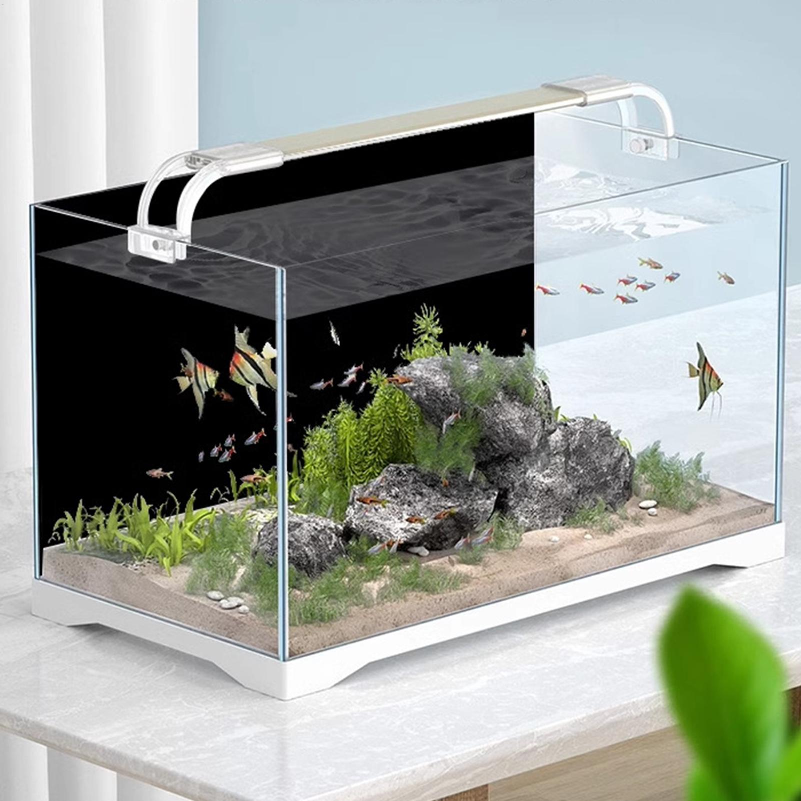 Zwarte aquarium achtergrondafb - Fish In Aquarium Picture recensie en prijs
