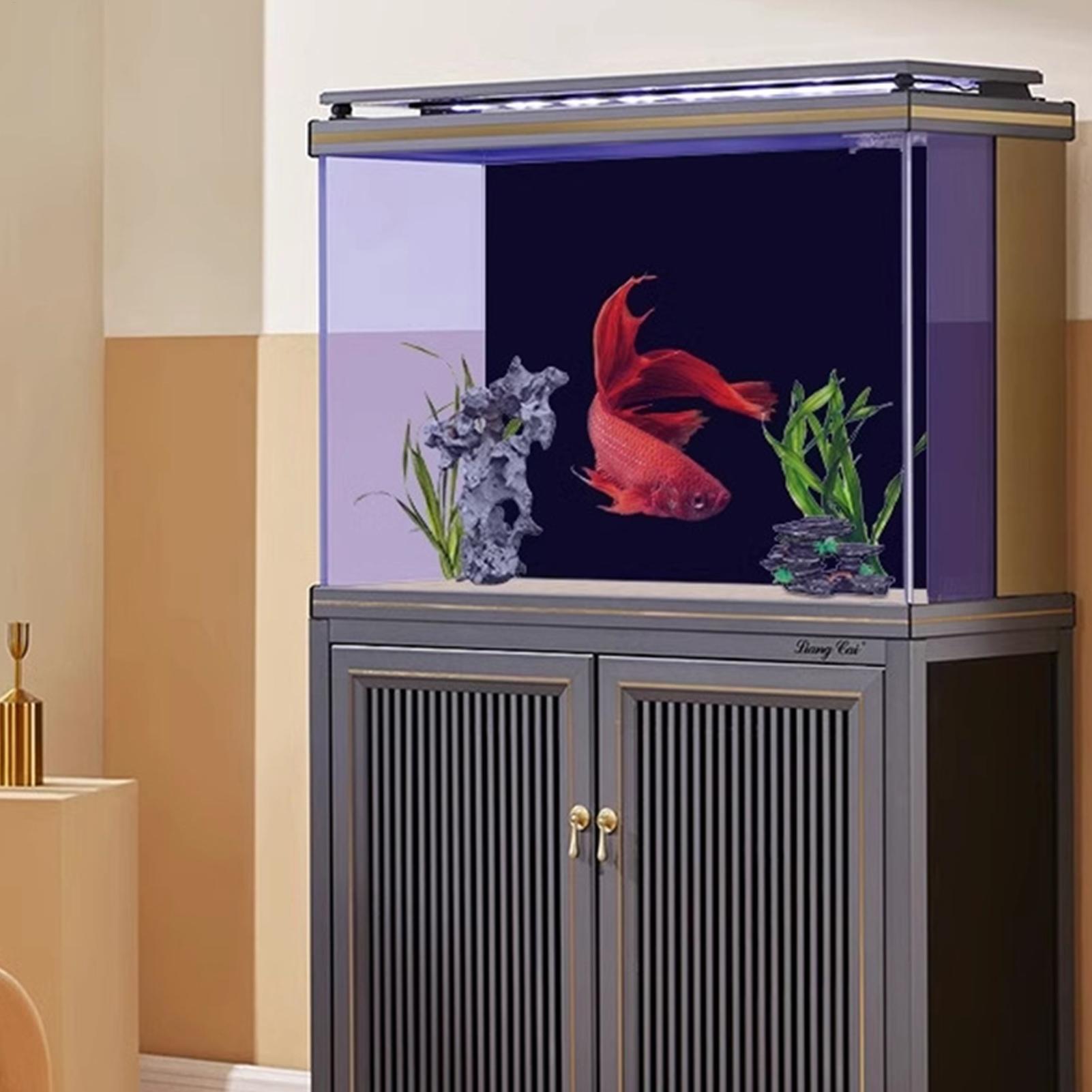 Zwarte aquarium achtergrondafb - Fish In Aquarium Picture recensie en prijs