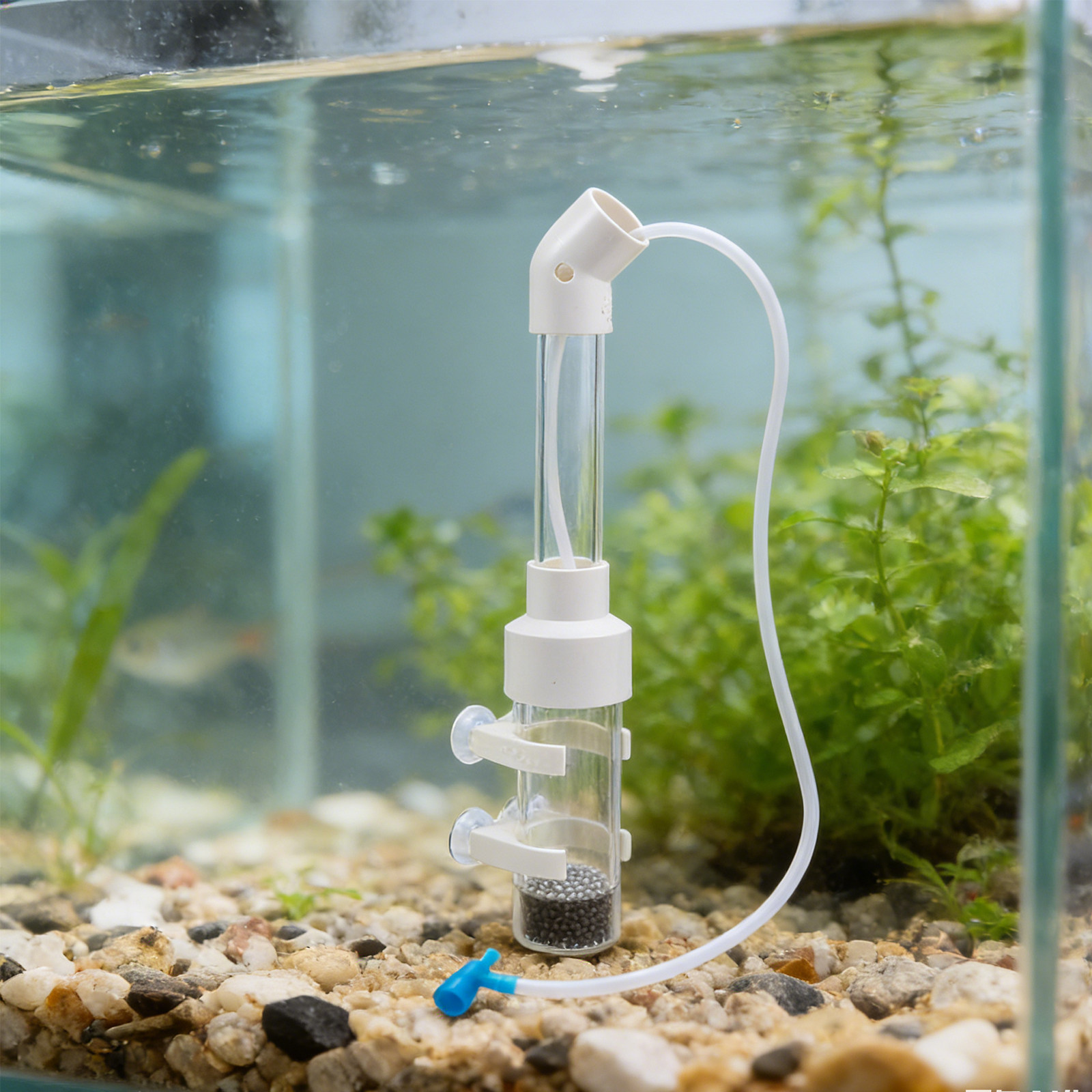 2Sets Vis-ei-incubatorset Auto - Aquarium Fishes recensie en prijs