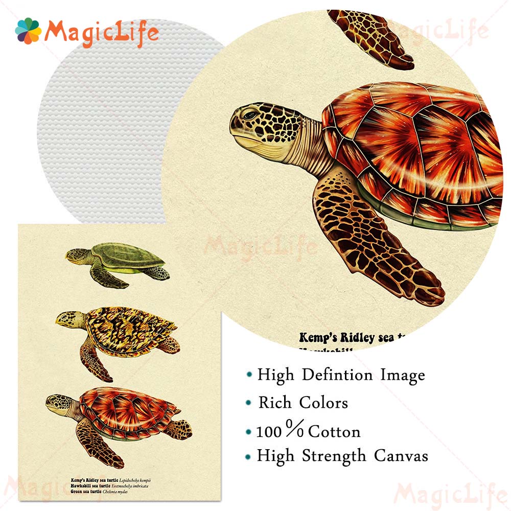 Vintage Zeevis Schildpad Haai  - Fish In Aquarium Picture recensie en prijs