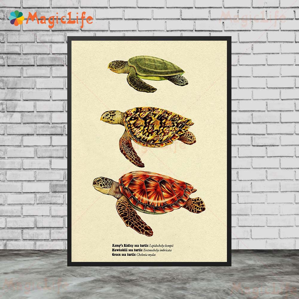 Vintage Zeevis Schildpad Haai  - Fish In Aquarium Picture recensie en prijs