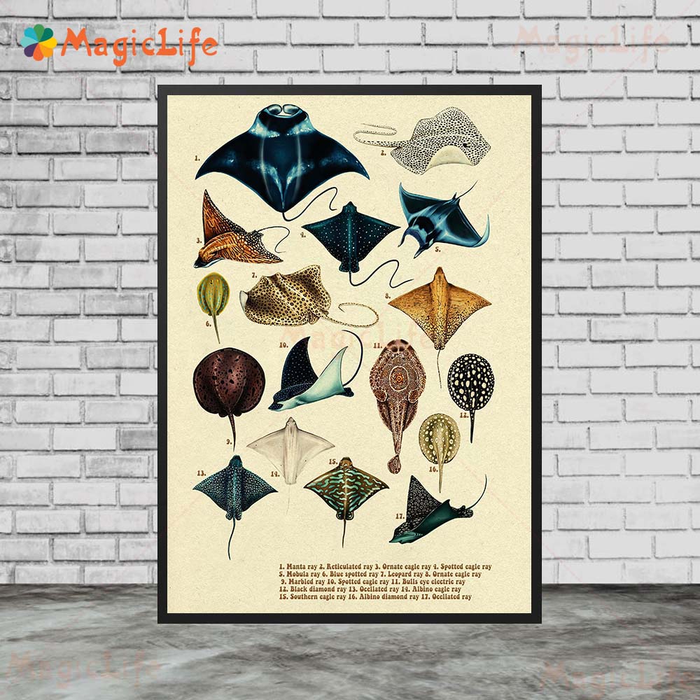Vintage Zeevis Schildpad Haai  - Fish In Aquarium Picture recensie en prijs