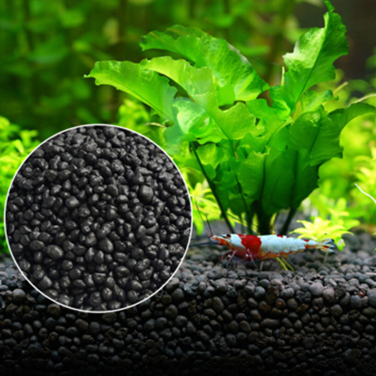 Aquarium Plant Zaden Bodem Fis - Aquarium Fish To Buy recensie en prijs