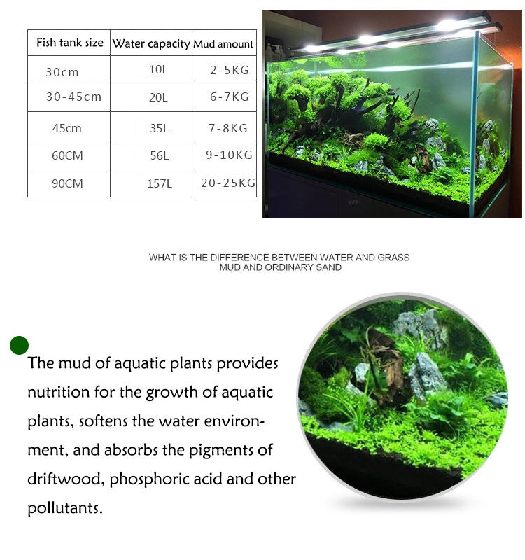 Aquarium Plant Zaden Bodem Fis - Aquarium Fish To Buy recensie en prijs